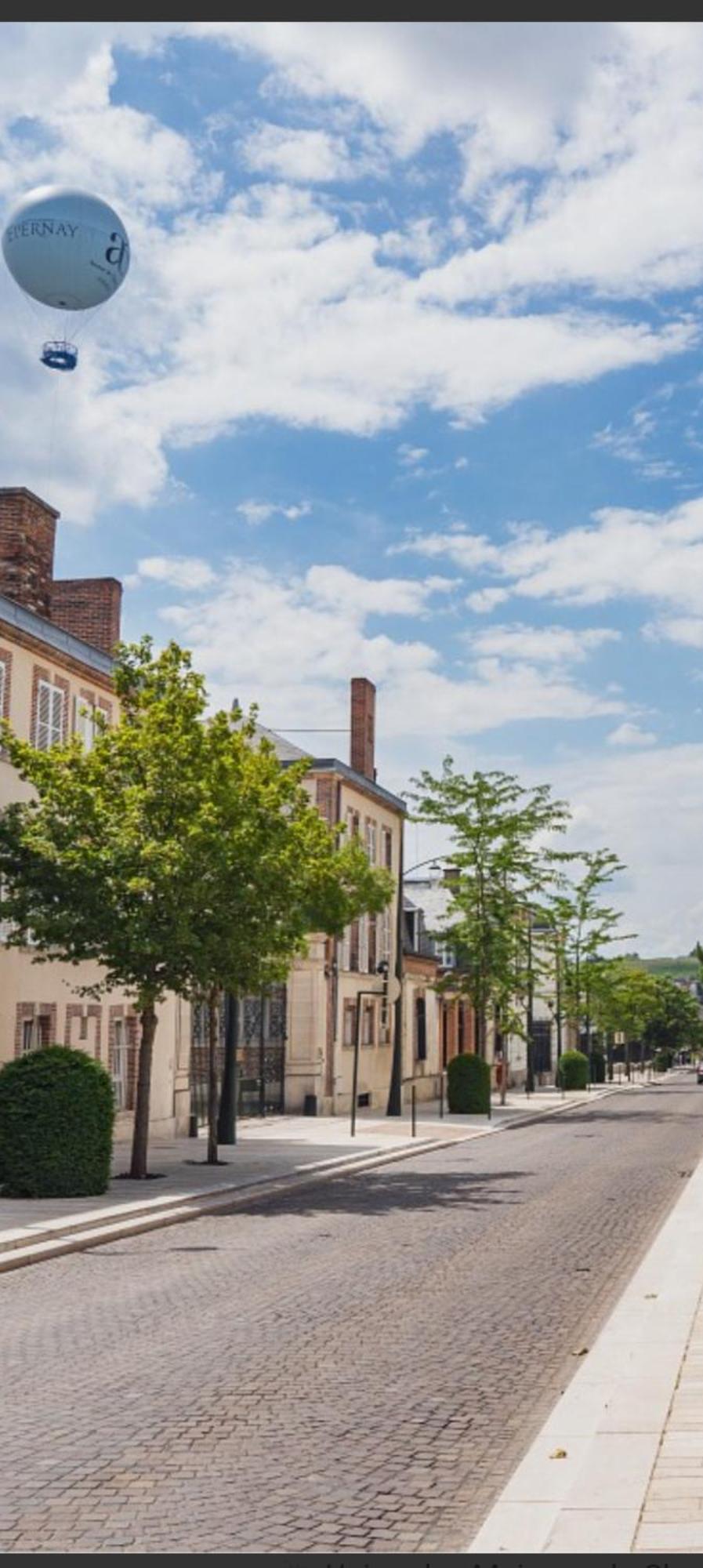 Les Loges Du Theatre Degustation Champagne Offerte Jacuzzi Sauna Jeux Velos Maison Prive 150M2 Historique 14Pers Max Emplacement Exceptionnel Et Chic, 200M De L'Avenue De Champagne, Gare, Musee, Jardins, Restaurations, Toutes Commodites Épernay Exterior foto